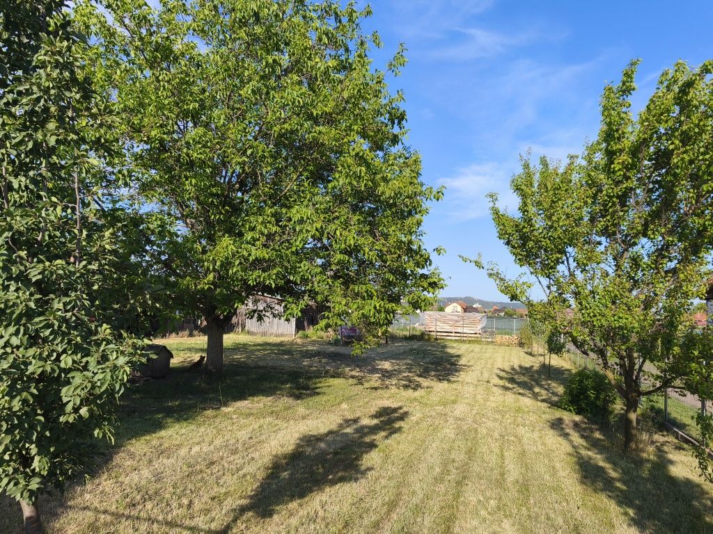 Vand teren intravilan 950mp