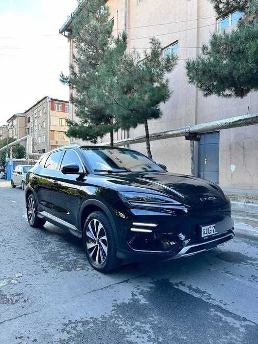 BYD Champion 605 KM 2025