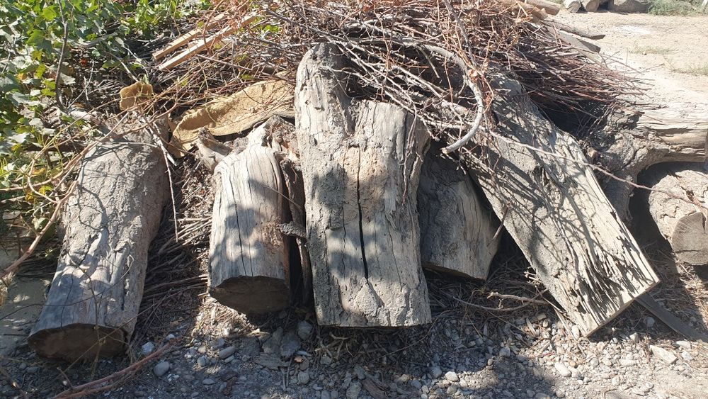 Тароша  сотилади