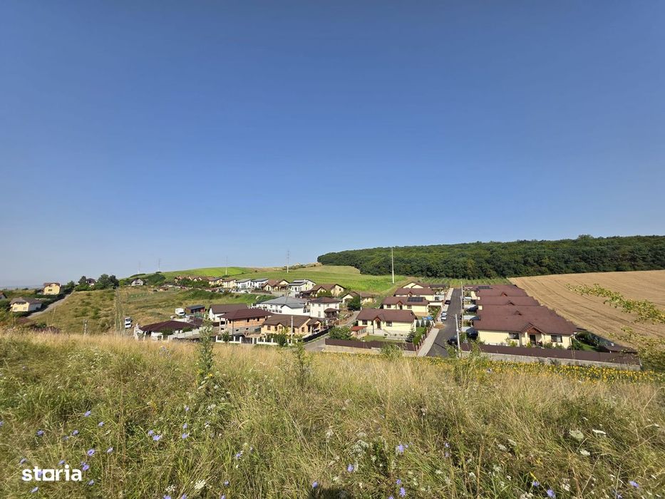 Teren in Sancraiul de Mures, 5800 mp, utilitati la 50 m, padure