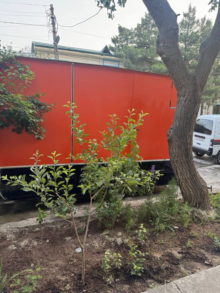 Foodtruck на колесах 2 та