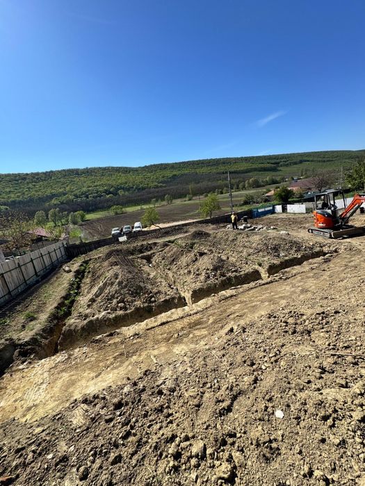 Inchirez miniexcavator si BASCULANTA