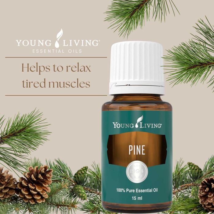 Pin (Pine) 15 ml - ulei esential Young Living