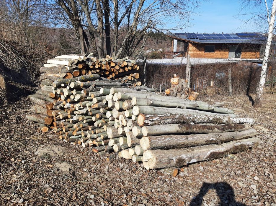 Vand lemn de esenta moale (cazan)