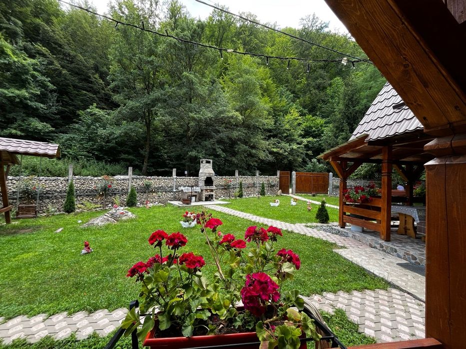 Cabană de închiriat!