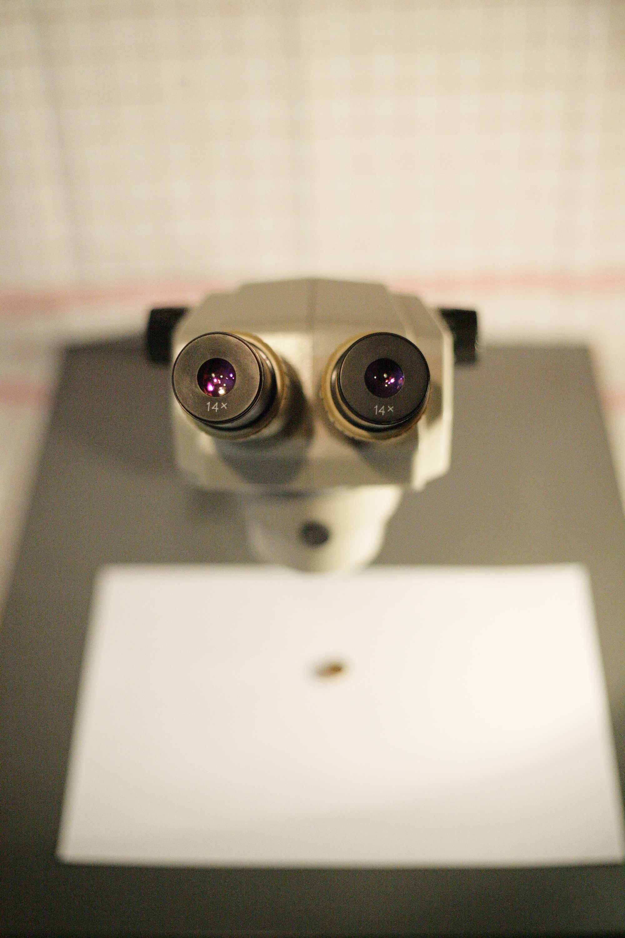 Nikon SMZ-1b Stereo Zoom микроскоп