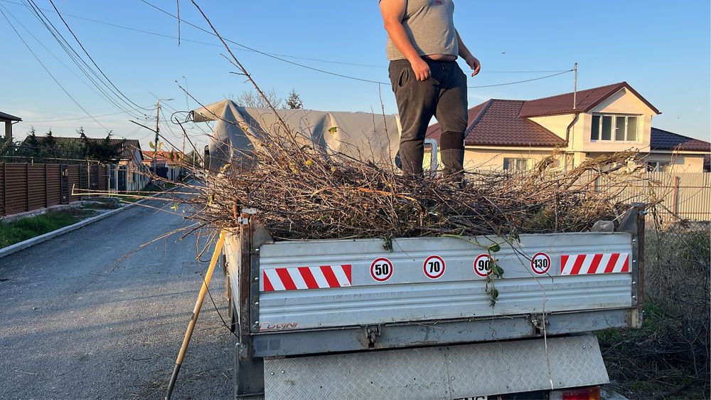 Transpotr moloz , deseuri, plastice , lemn fier moluz