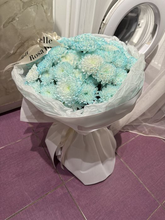 Продаётся свежий, красивый букет голубых хризантем. За 10к