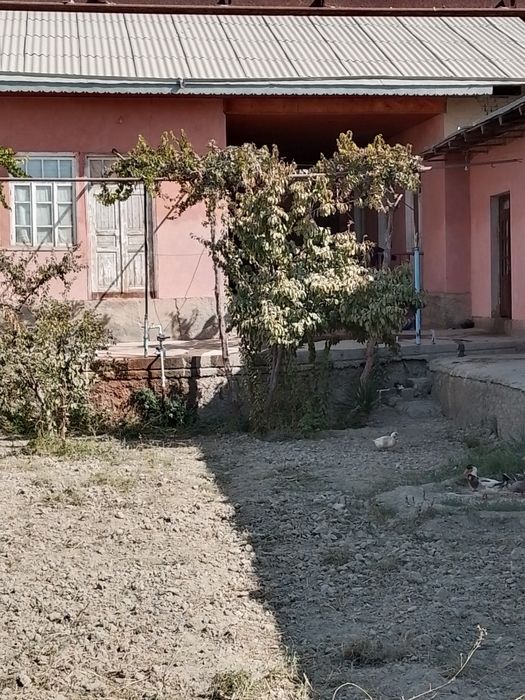 navoiy karmana  kulolar kuchasi