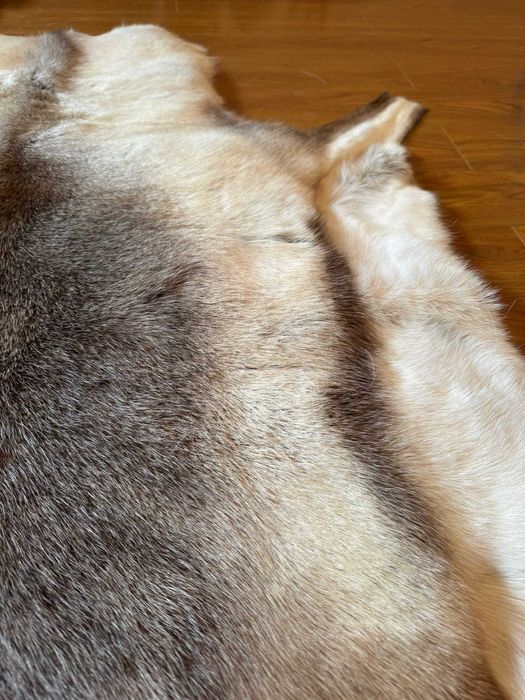 Blana naturala de ren , cumparata din Finlanda