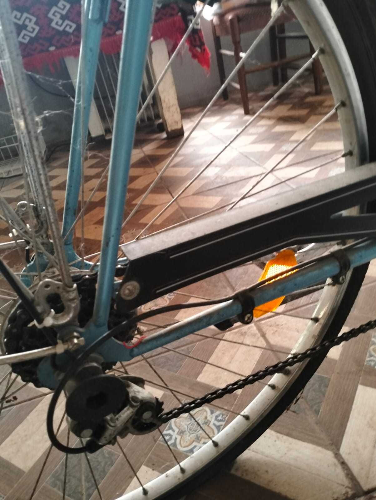 Bicicleta Pegas de colectie