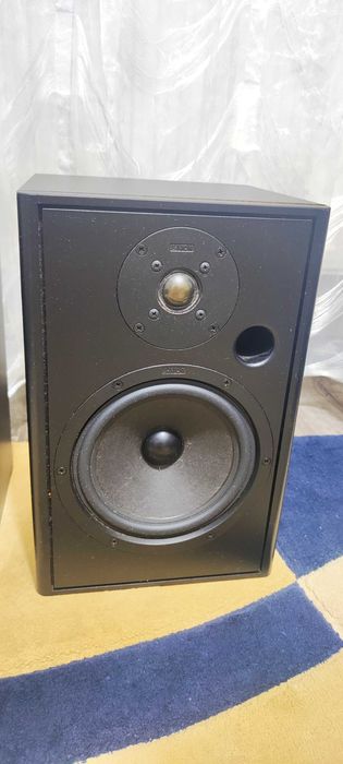 Boxe de Raft Infinity Reference 10 Boxe Audio de Camera Difuzoare