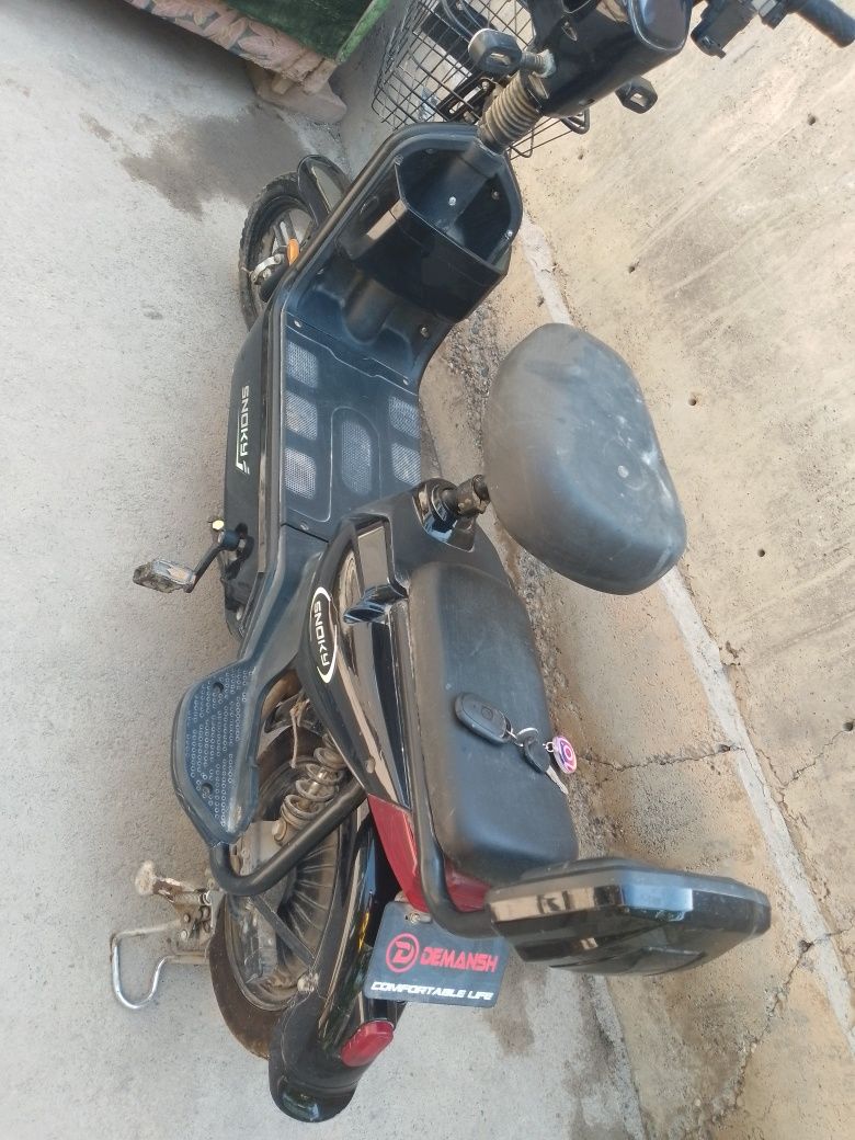 Skuter demansh 2024