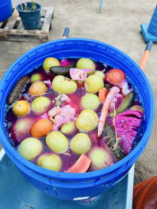 Muraturi Asortate la saramura