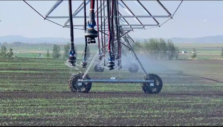 Ёмгирлатиб сугориш техналогияси