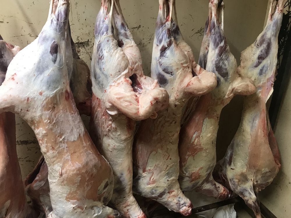 Продам шашлык из свежей баранины