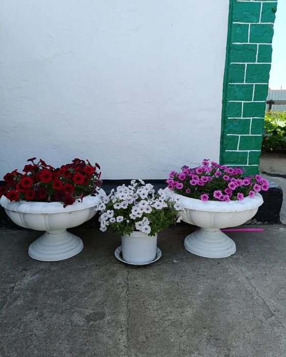 Вазоны для цветов, Цветочник, клумба