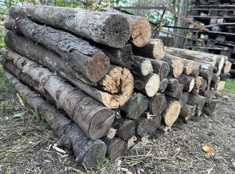 Lemne de foc esenta mixta (Brad + Salcam)