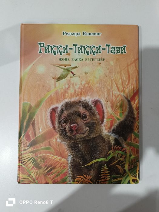 Книга на казахском языке