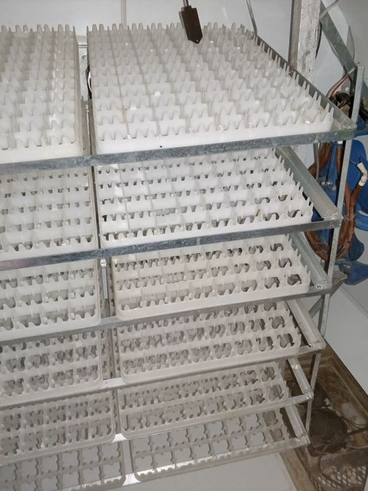 Inkubator operativi 1056 talik