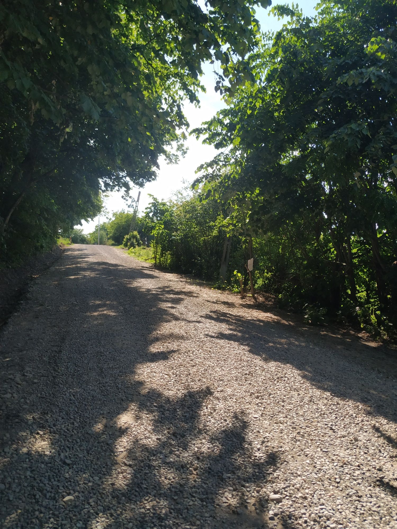 Vând teren intravilan Gheorghe Doja