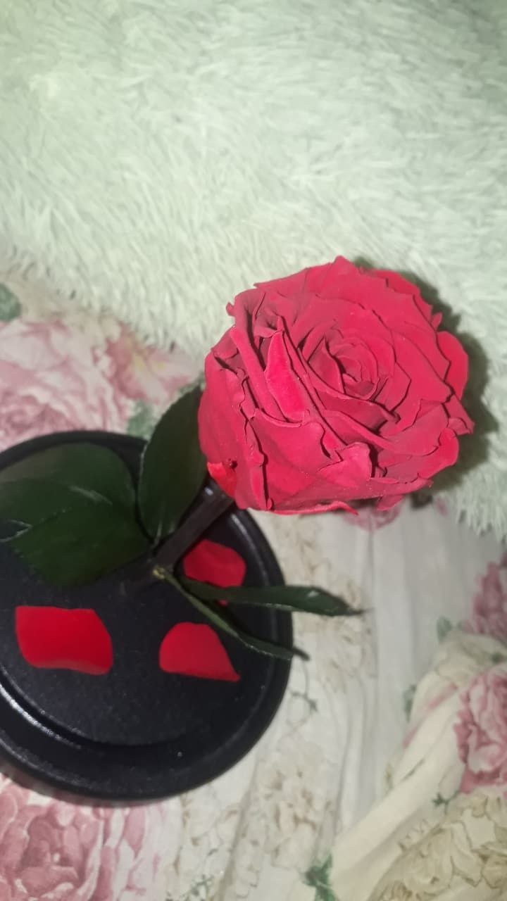 Продается роза из мультфильма" Красавица и Чудовище "