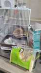 Set cusca +accesorii, mancare ,asternut/recompense hamsteri