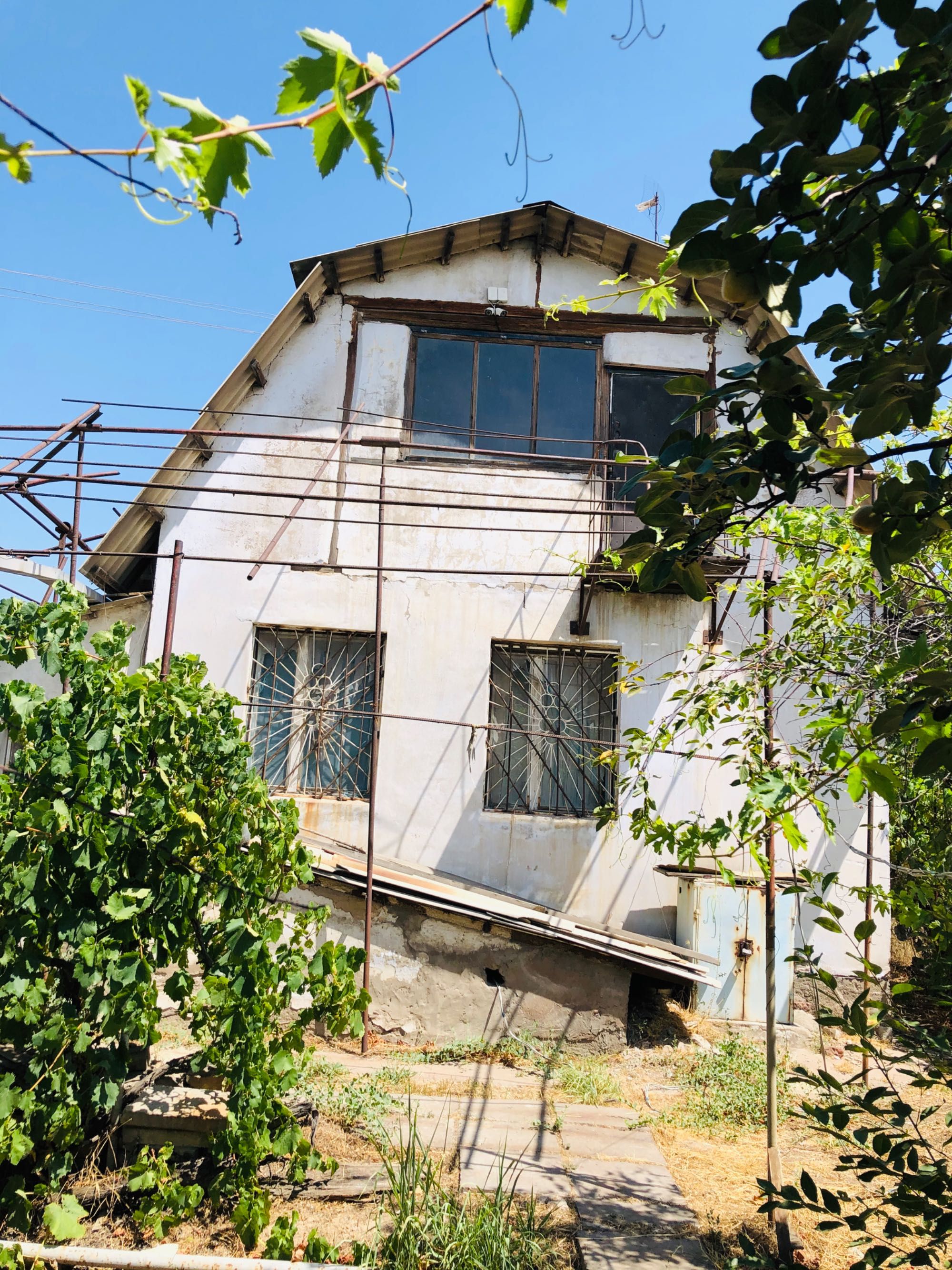 Дача в Пскентском районе!