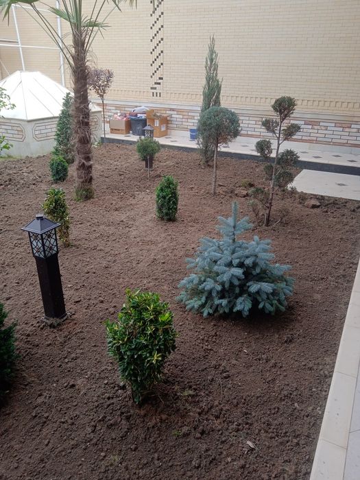 Sadovnik bogbon lanshaft xizmati