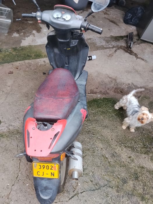 Scuter 4timpi înmatriculat