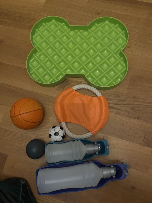 Gratuit accesorii catei