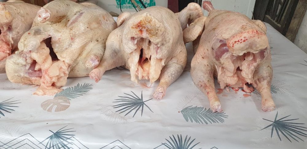 Мясо домашнего бройлера