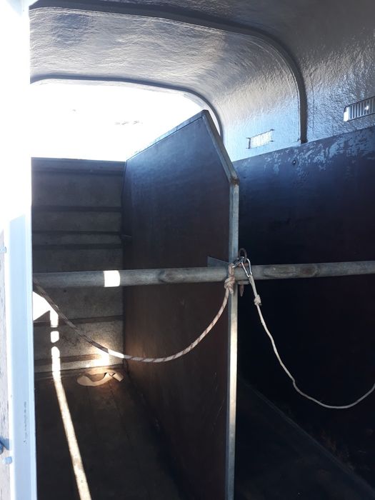 Transport Animale Vii - Moinesti