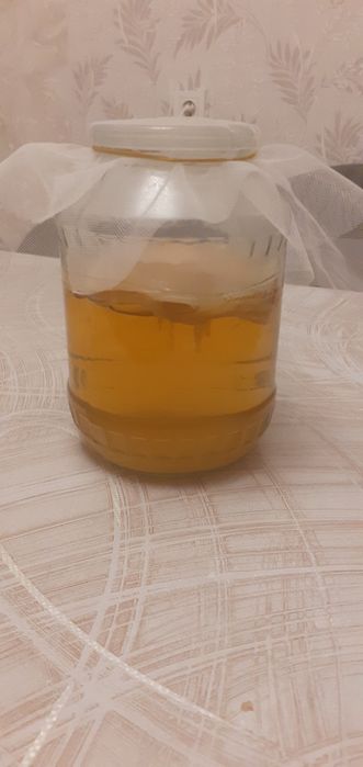 Кому нужен Чайный гриб обращайтесь