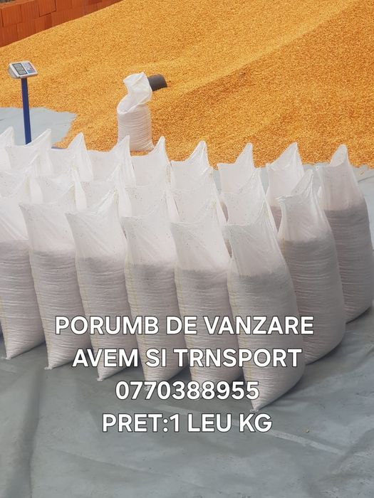 Porumb de vanzare 1 leu kg.