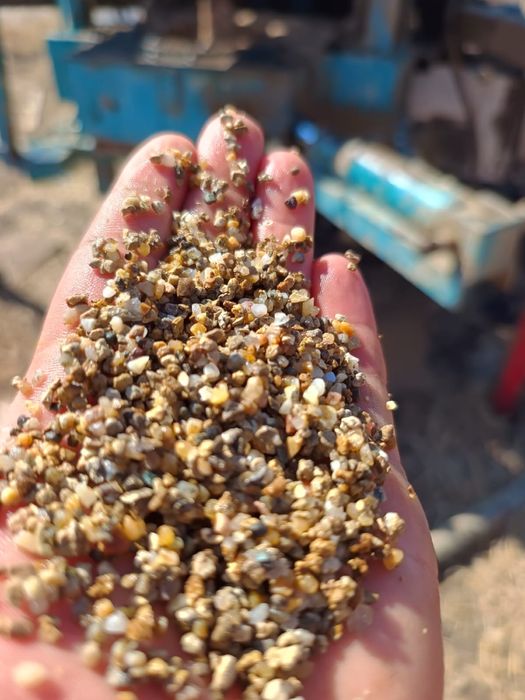 Denisipari foraje puturi