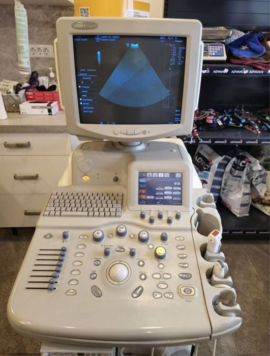 Ecograf veterinar GE LOGIQ 5 Expert