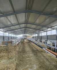 Vand hale metalice si structuri industriale agricole sau de productie