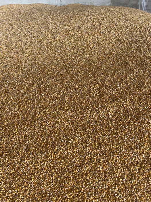 Graunte 2……………..