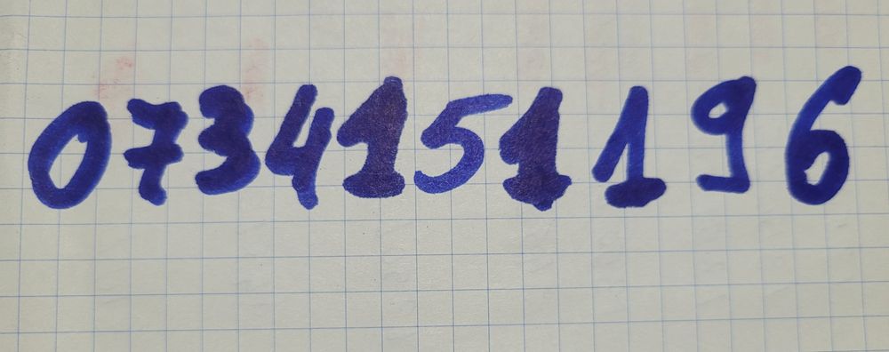 De vânzare miei de 8 luni