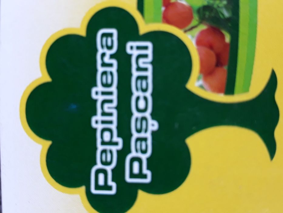 Pomi fructiferi certificati
