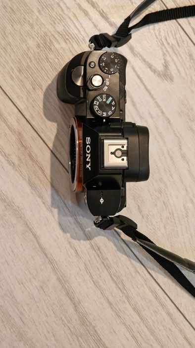 Sony A7R (36.2 MP) (2800 lei) + obiectiv Sigma 100-400 mm (4500 lei)