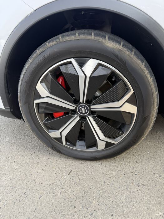 Byd tank 4.4 sekund 550 ot kuchi