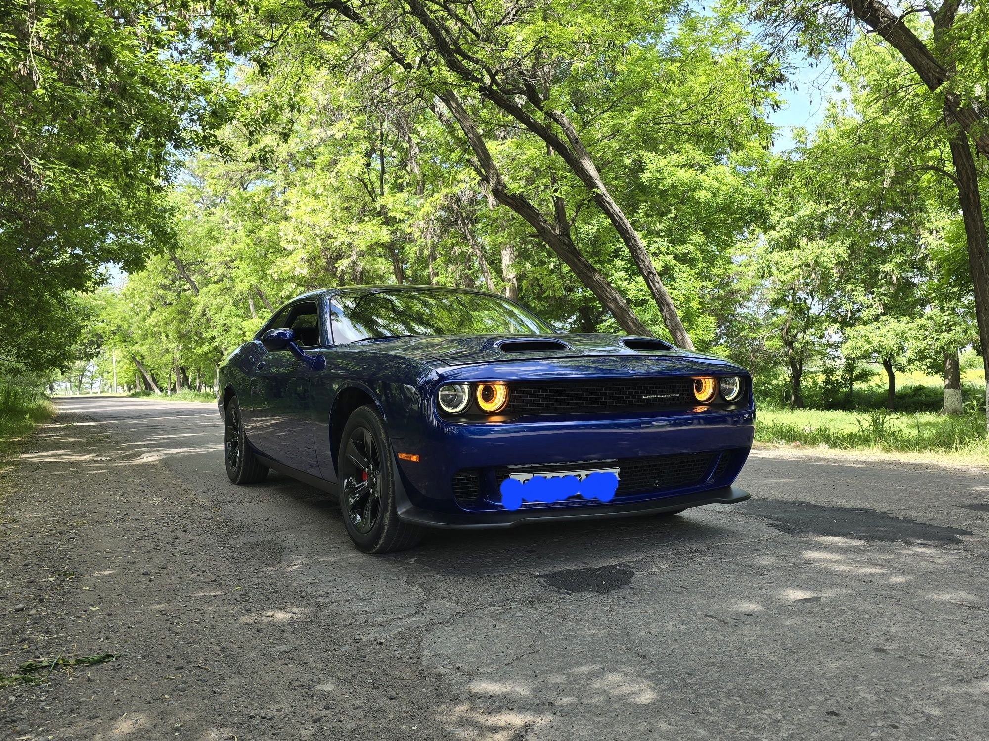 Dodge challenger