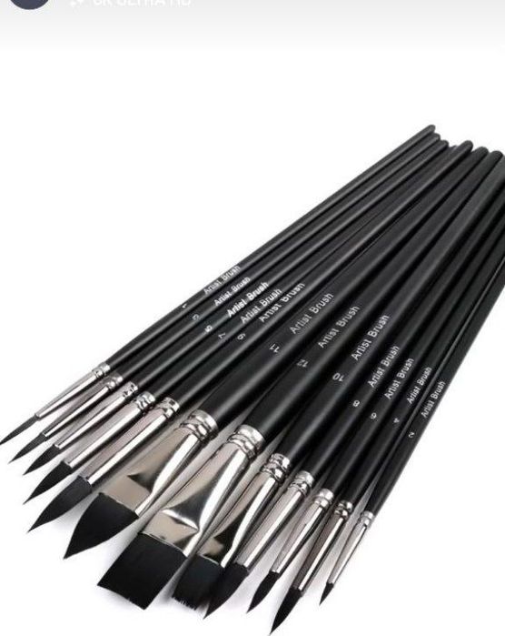 Набор кистей " Worison" для рисования художника из 12  художественных