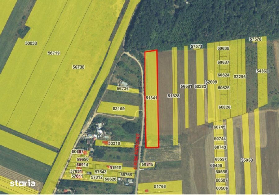 Loturi teren Peris - Strada Sondei- Padurea Scrovistea