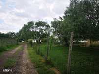 Teren Studiouri Buftea