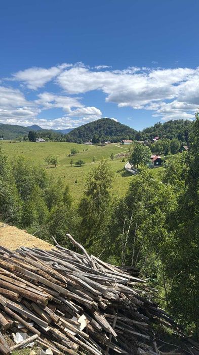 Teren cu cabana la Munte