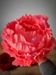 Decor evenimente - Flori gigantice