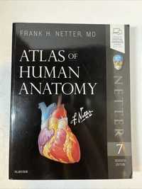 Atlas de anatomie a omului Netter editia 7 engleza / Human Anatomy